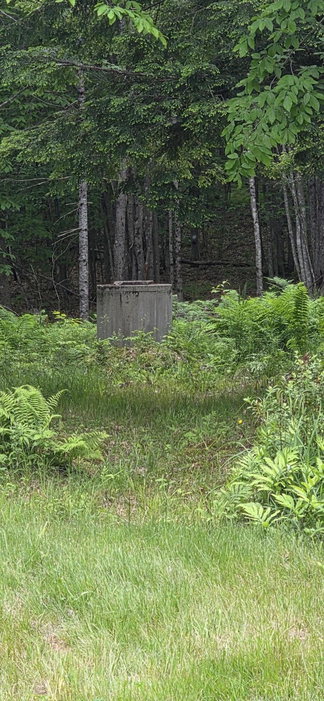 308 Shedd Rd, Norway, ME 04268 - photo 4