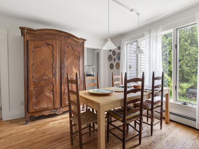2593 Bristol Rd, Bristol, ME 04554 - dining room featuring light wood-style floors, plenty of natural light, track lighting, and ornamental molding
