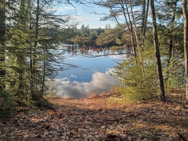 915 Augusta Rd, Belgrade, ME 04917 - water view with a forest