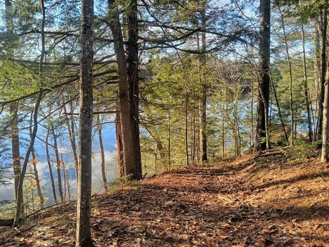 915 Augusta Rd, Belgrade, ME 04917 - water view with a forest