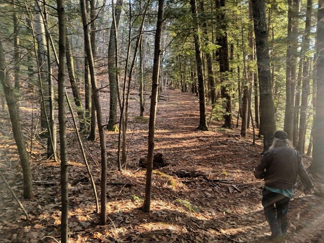 915 Augusta Rd, Belgrade, ME 04917 - view of undeveloped land