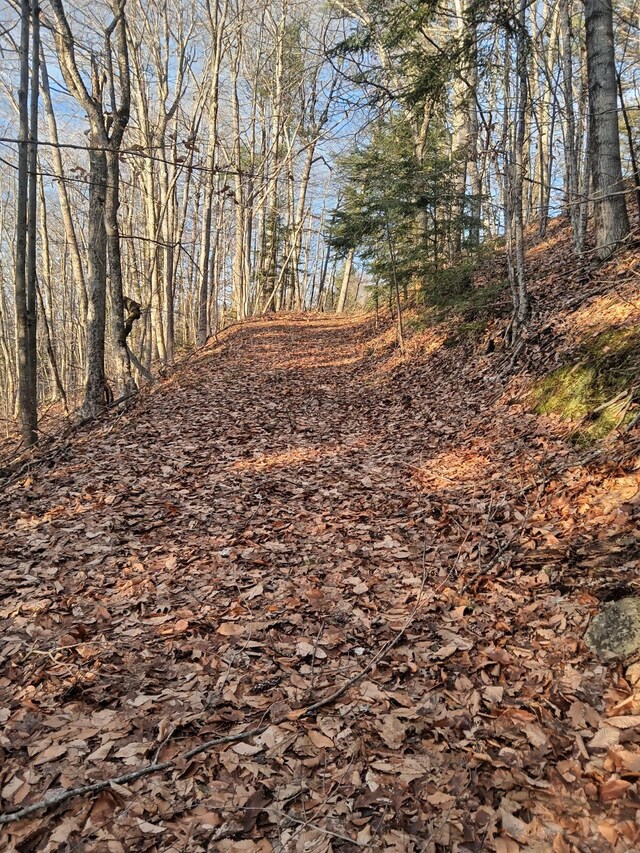 915 Augusta Rd, Belgrade, ME 04917 - view of undeveloped land