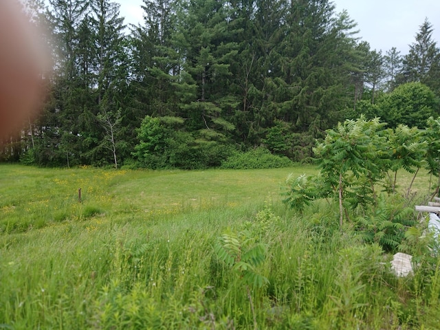 209 Mosher Rd, Gorham, ME 04038 - photo 1