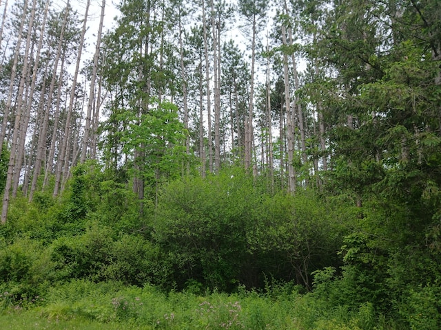 209 Mosher Rd, Gorham, ME 04038 - photo 6