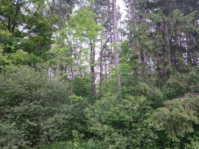 209 Mosher Rd, Gorham, ME 04038 - photo 7