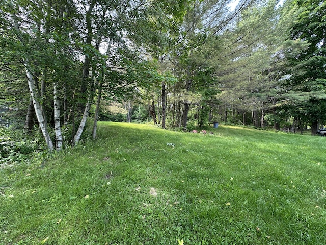 166 Kelley Rd, Orono, ME 04473 - photo 42