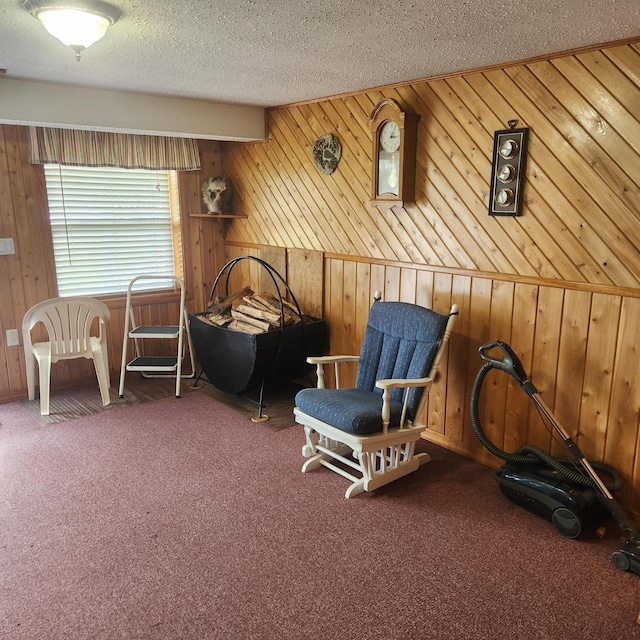 116 Main Rd, Passadumkeag, ME 04475 - living area featuring carpet, wooden walls, and a textured ceiling