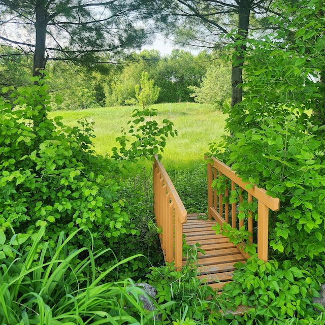 116 Main Rd, Passadumkeag, ME 04475 - view of yard