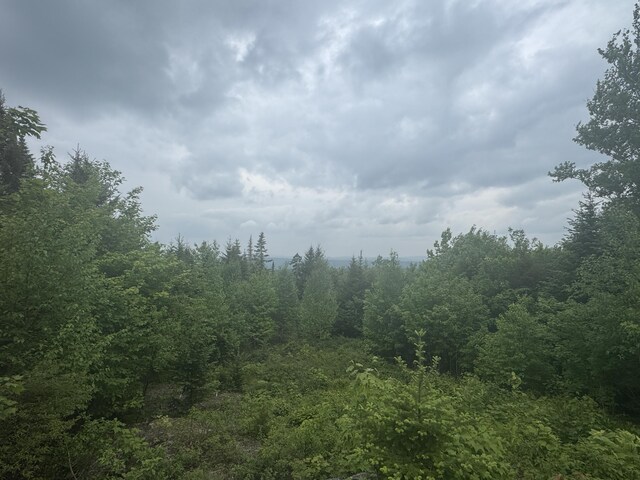 14 Alpine Rdg, Greenville, ME 04441 - photo 21