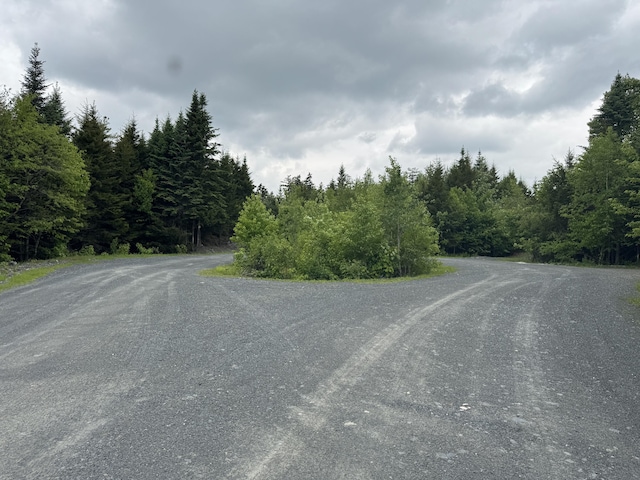 14 Alpine Rdg, Greenville, ME 04441 - photo 13
