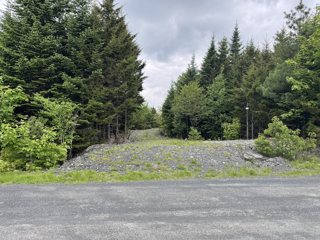 14 Alpine Rdg, Greenville, ME 04441 - photo 15