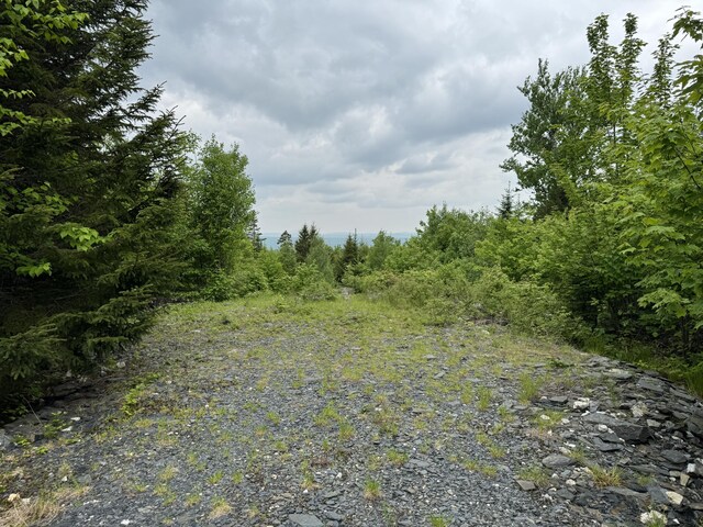 14 Alpine Rdg, Greenville, ME 04441 - photo 18