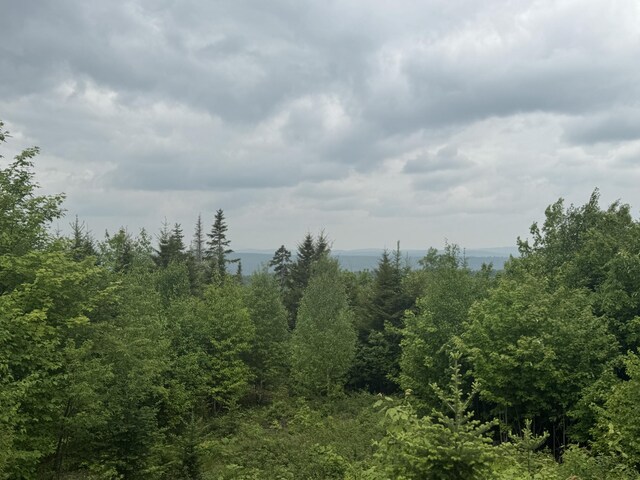 14 Alpine Rdg, Greenville, ME 04441 - photo 22
