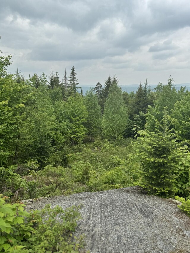 14 Alpine Rdg, Greenville, ME 04441 - photo 20