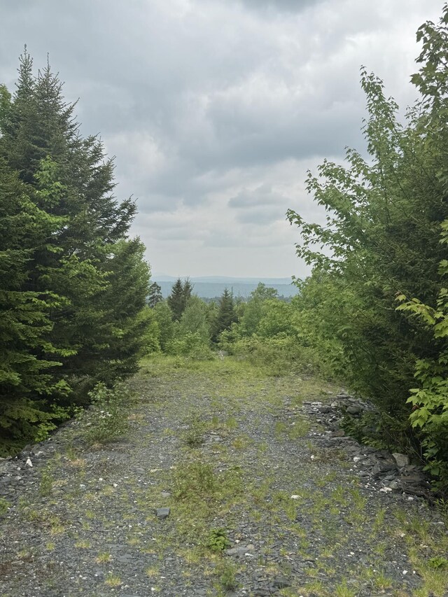14 Alpine Rdg, Greenville, ME 04441 - photo 16