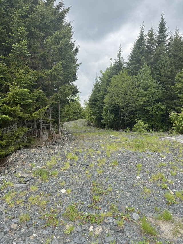 14 Alpine Rdg, Greenville, ME 04441 - photo 17