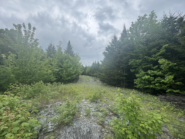 14 Alpine Rdg, Greenville, ME 04441 - photo 23