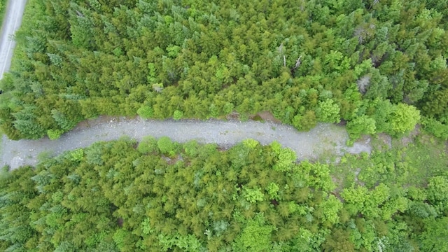 14 Alpine Rdg, Greenville, ME 04441 - photo 11