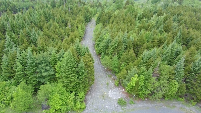 14 Alpine Rdg, Greenville, ME 04441 - photo 9