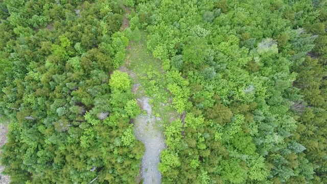 14 Alpine Rdg, Greenville, ME 04441 - photo 6
