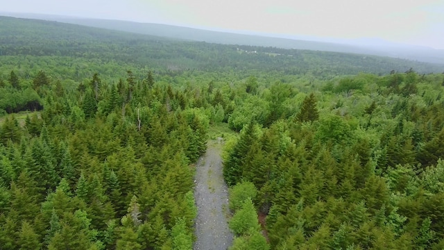 14 Alpine Rdg, Greenville, ME 04441 - photo 3