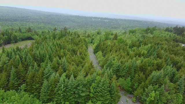 14 Alpine Rdg, Greenville, ME 04441 - photo 4