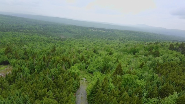 14 Alpine Rdg, Greenville, ME 04441 - photo 7