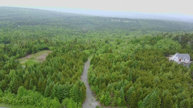 14 Alpine Rdg, Greenville, ME 04441 - photo 8