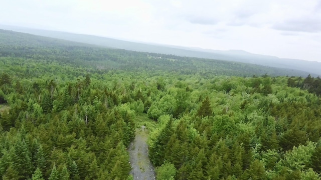 14 Alpine Rdg, Greenville, ME 04441 - photo 2