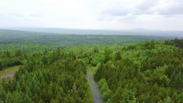 14 Alpine Rdg, Greenville, ME 04441 - photo 10