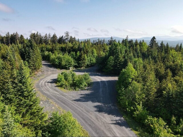 14 Alpine Rdg, Greenville, ME 04441 - photo 12