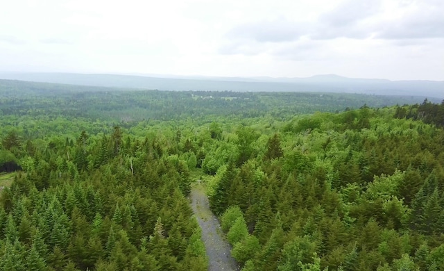 14 Alpine Rdg, Greenville, ME 04441 - photo 1