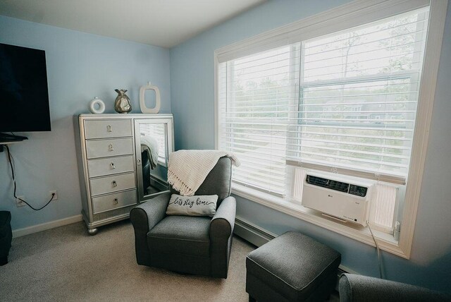 30 Bishop Dr, Hermon, ME 04401 - photo 22