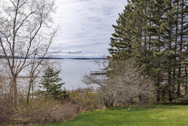 55 Ferry Rd, Swans Island, ME 04685 - water view