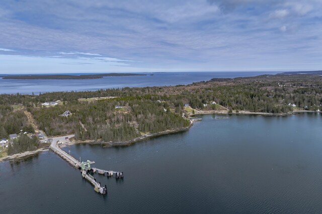 55 Ferry Rd, Swans Island, ME 04685 - view of property location with a nearby body of water and a forest