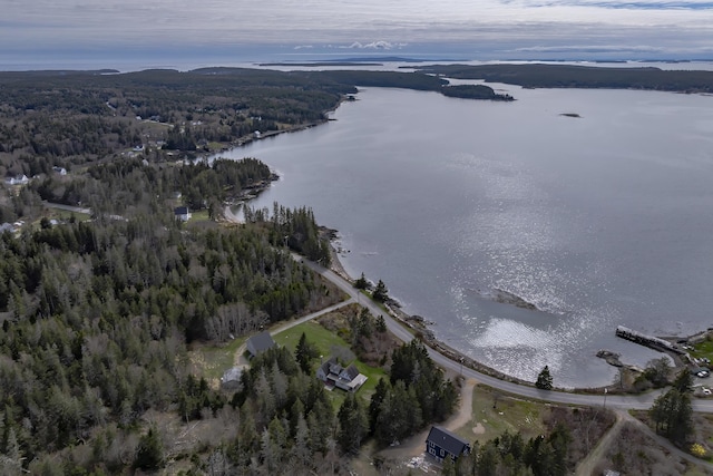55 Ferry Rd, Swans Island, ME 04685 - view of property location with a large body of water and a forest