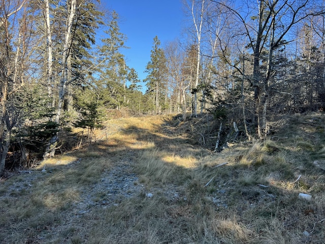55 Ferry Rd, Swans Island, ME 04685 - view of nature