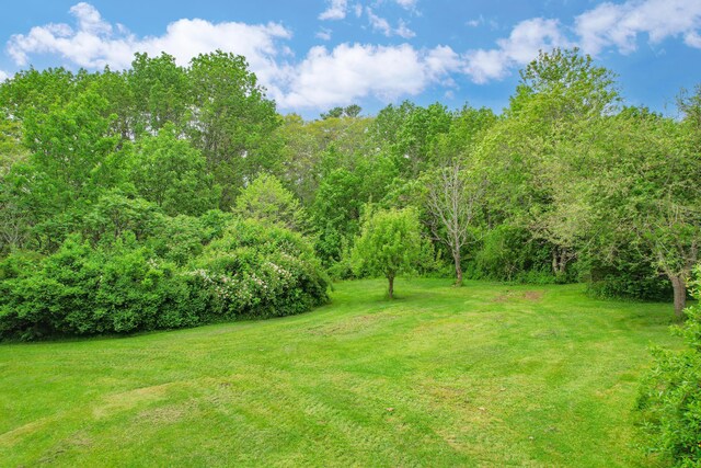 511 Main Rd, Phippsburg, ME 04562 - view of grassy yard