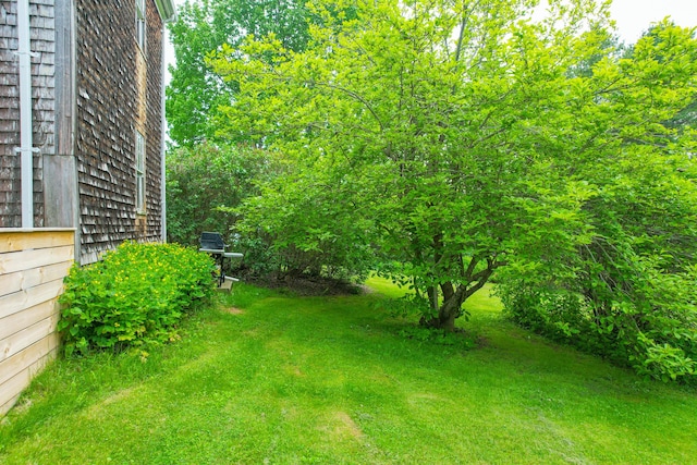 511 Main Rd, Phippsburg, ME 04562 - view of green lawn