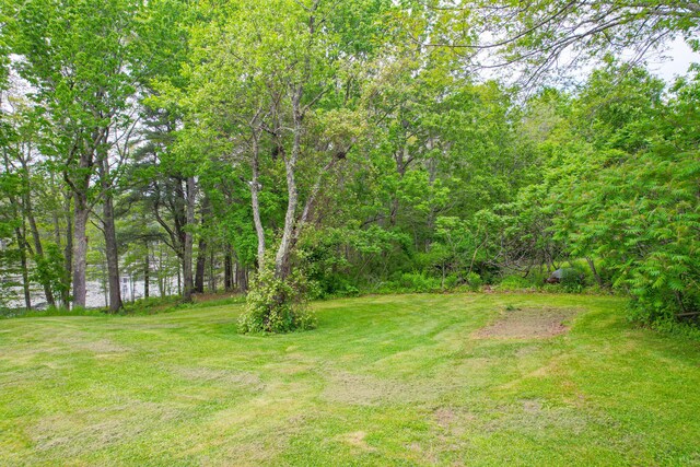 511 Main Rd, Phippsburg, ME 04562 - view of grassy yard