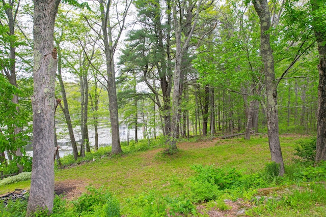 511 Main Rd, Phippsburg, ME 04562 - view of yard featuring a water view and a forest view