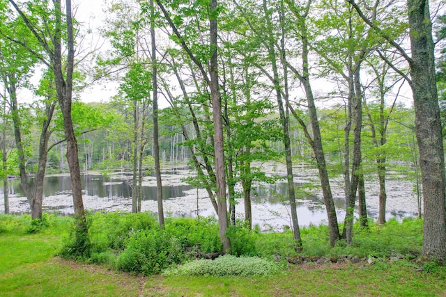 511 Main Rd, Phippsburg, ME 04562 - water view