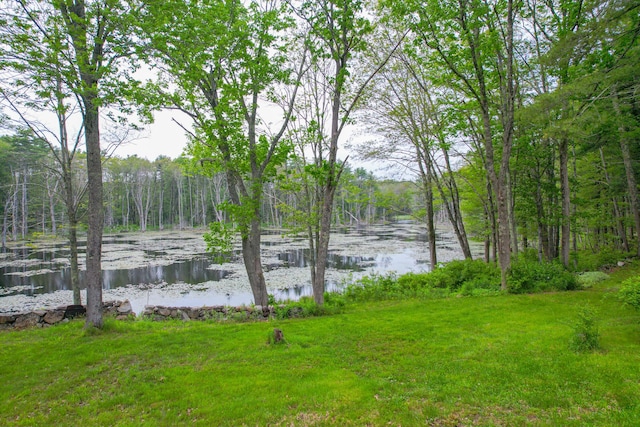 511 Main Rd, Phippsburg, ME 04562 - view of grassy yard featuring a water view and a forest view