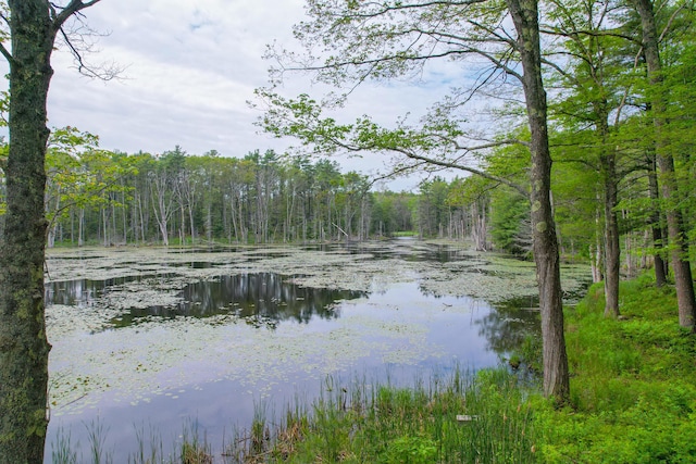 511 Main Rd, Phippsburg, ME 04562 - water view featuring a forest