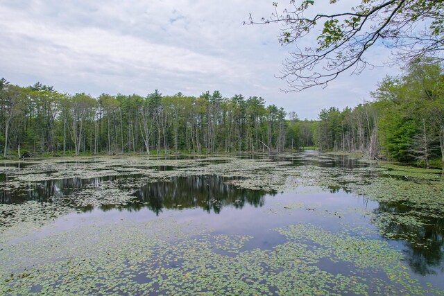 511 Main Rd, Phippsburg, ME 04562 - water view featuring a heavily wooded area