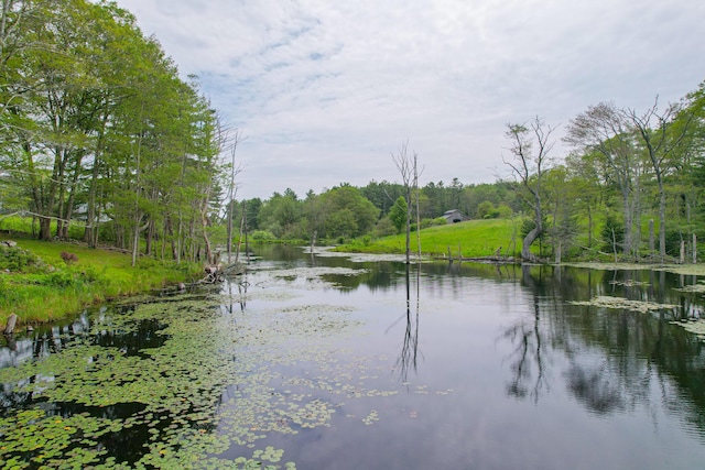 511 Main Rd, Phippsburg, ME 04562 - water view featuring a forest