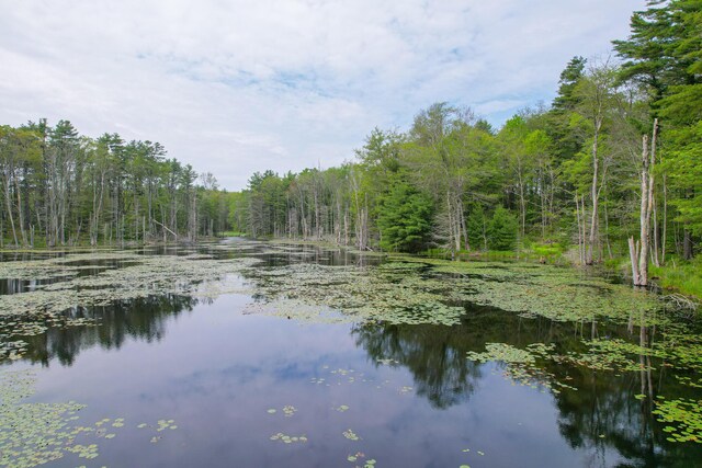 511 Main Rd, Phippsburg, ME 04562 - water view with a forest