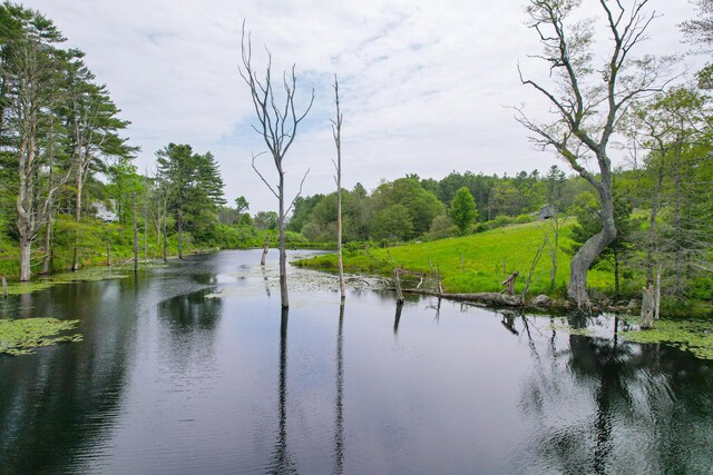 511 Main Rd, Phippsburg, ME 04562 - water view featuring a forest