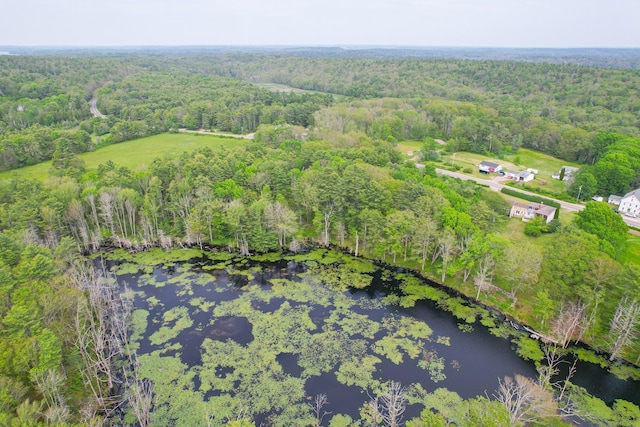 511 Main Rd, Phippsburg, ME 04562 - drone / aerial view of a forest and a large body of water