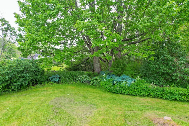 511 Main Rd, Phippsburg, ME 04562 - view of grassy yard